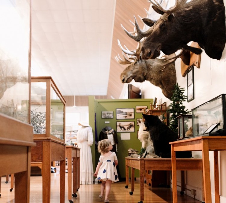 The Libby Museum of Natural History (Wolfeboro,&nbspNH)